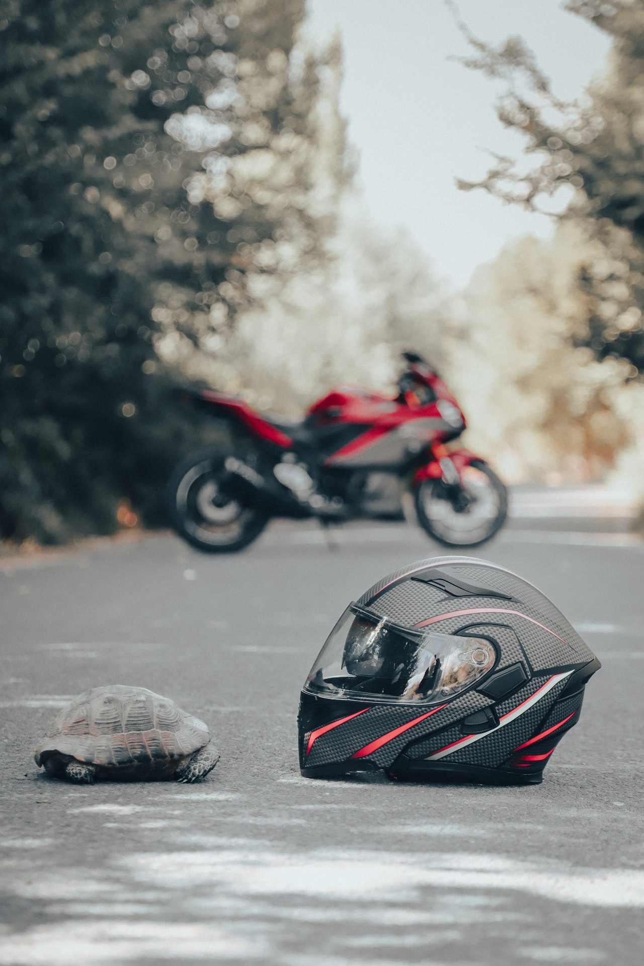 Motorcycle Accident