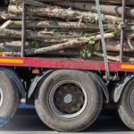 truck fill with wood